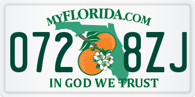 FL license plate 0728ZJ