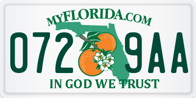 FL license plate 0729AA
