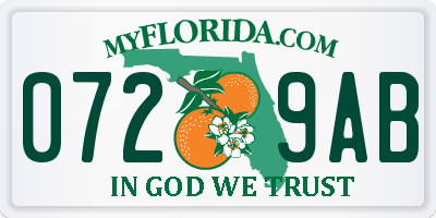 FL license plate 0729AB