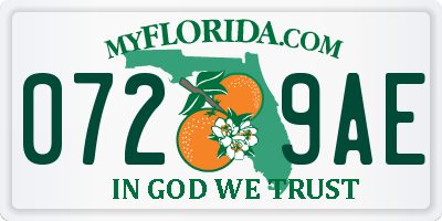 FL license plate 0729AE