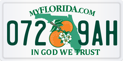 FL license plate 0729AH