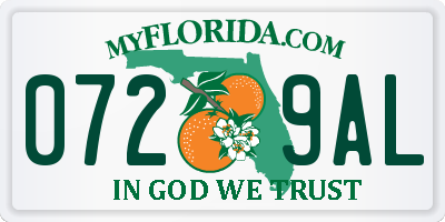 FL license plate 0729AL