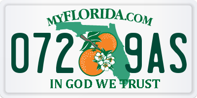 FL license plate 0729AS