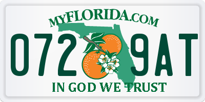 FL license plate 0729AT