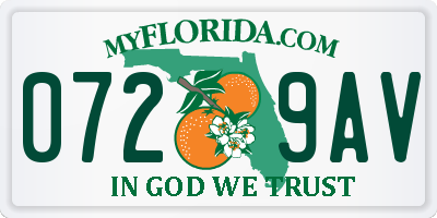 FL license plate 0729AV