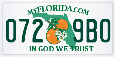 FL license plate 0729BO