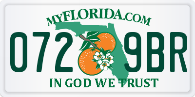 FL license plate 0729BR