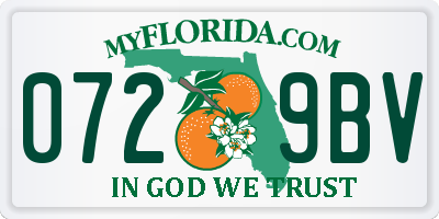 FL license plate 0729BV