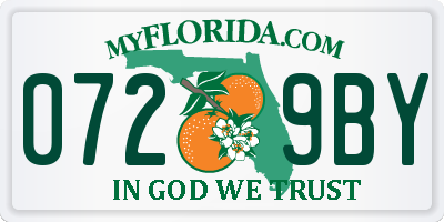 FL license plate 0729BY