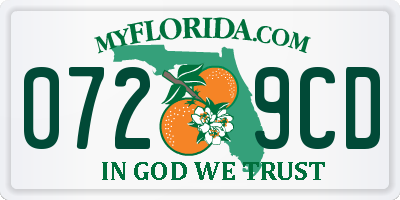 FL license plate 0729CD