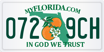 FL license plate 0729CH