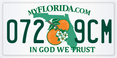 FL license plate 0729CM