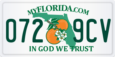 FL license plate 0729CV