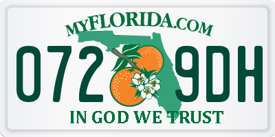 FL license plate 0729DH