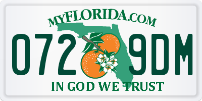 FL license plate 0729DM