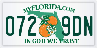 FL license plate 0729DN