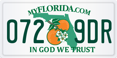 FL license plate 0729DR