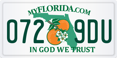 FL license plate 0729DU