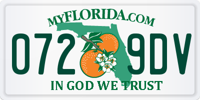 FL license plate 0729DV