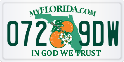 FL license plate 0729DW