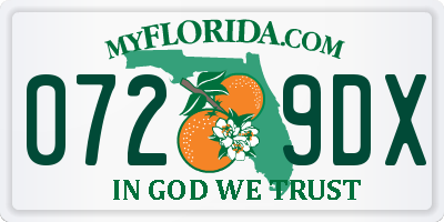 FL license plate 0729DX