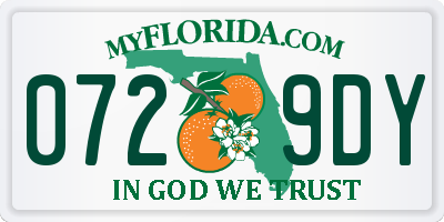 FL license plate 0729DY