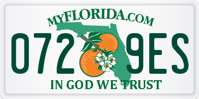 FL license plate 0729ES
