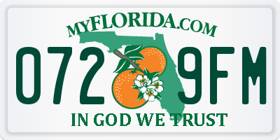 FL license plate 0729FM