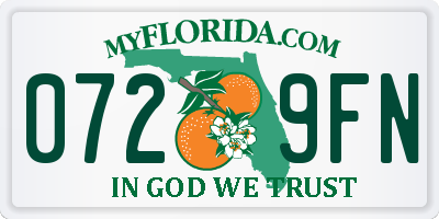 FL license plate 0729FN