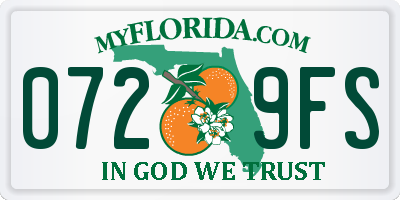 FL license plate 0729FS