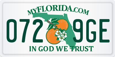 FL license plate 0729GE