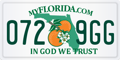 FL license plate 0729GG