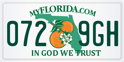 FL license plate 0729GH