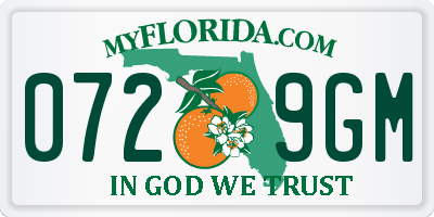 FL license plate 0729GM