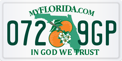 FL license plate 0729GP