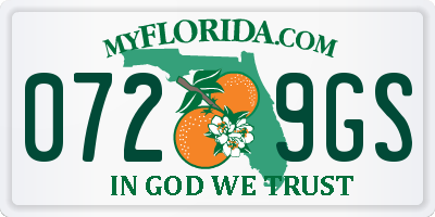 FL license plate 0729GS