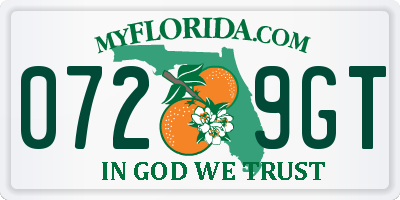FL license plate 0729GT