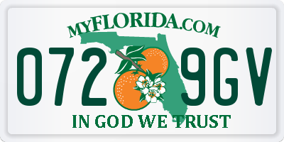 FL license plate 0729GV