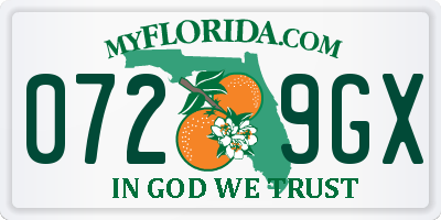 FL license plate 0729GX