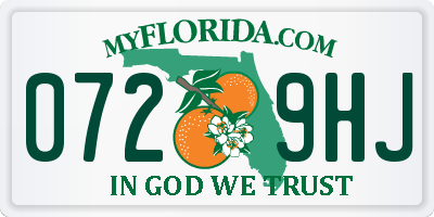 FL license plate 0729HJ