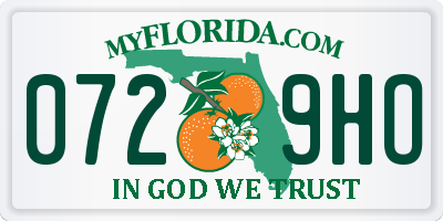 FL license plate 0729HO