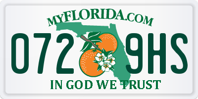 FL license plate 0729HS
