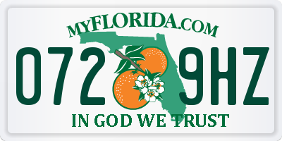 FL license plate 0729HZ