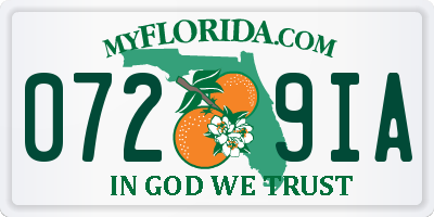 FL license plate 0729IA