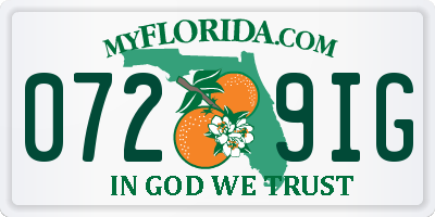 FL license plate 0729IG