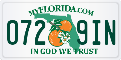 FL license plate 0729IN