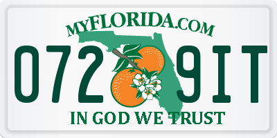 FL license plate 0729IT