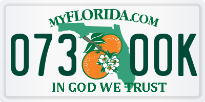 FL license plate 0730OK