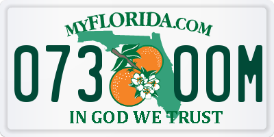 FL license plate 0730OM