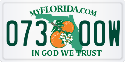 FL license plate 0730OW